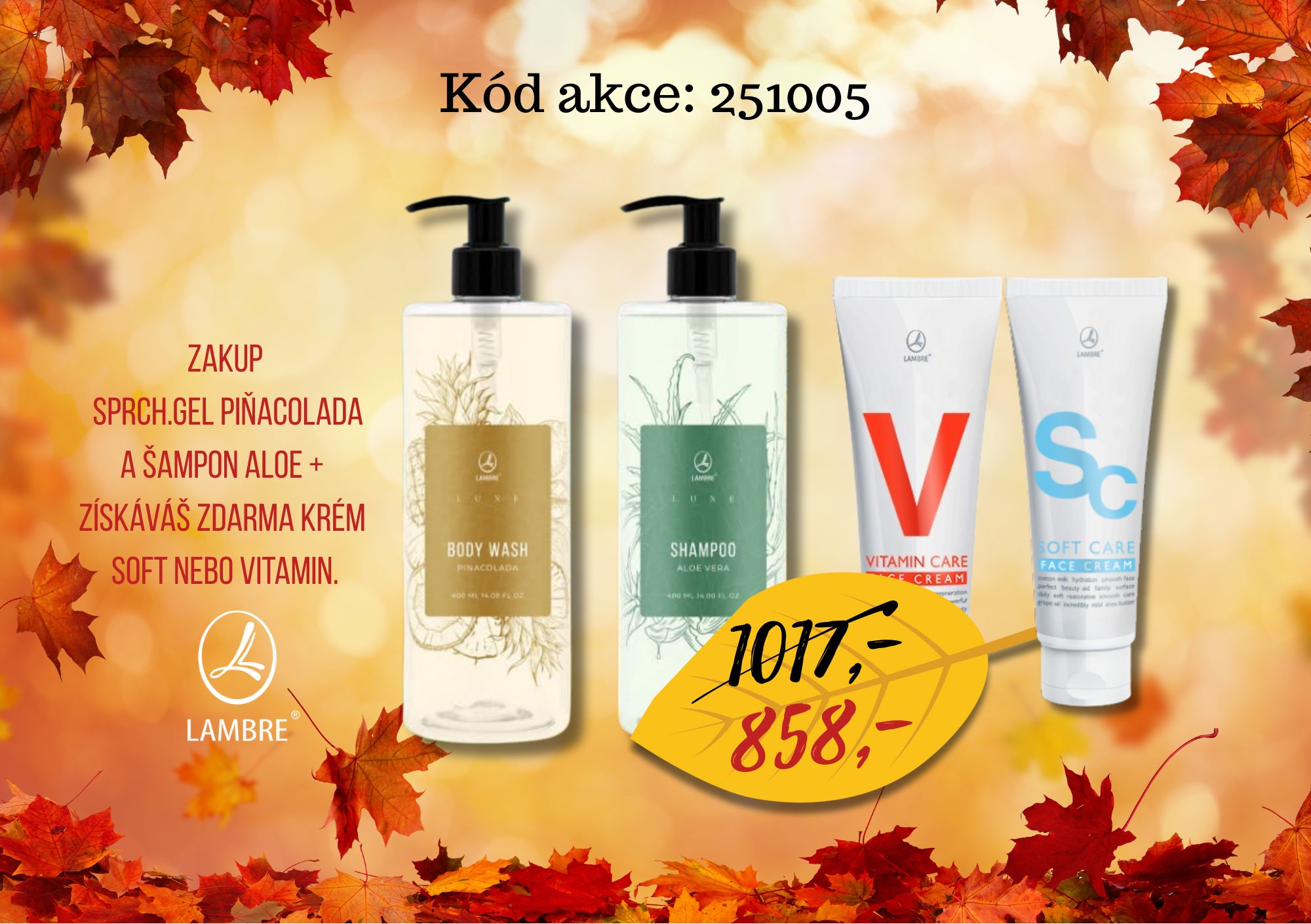 Šampon, sprchový gel+Soft nebo Vitamin krém 
